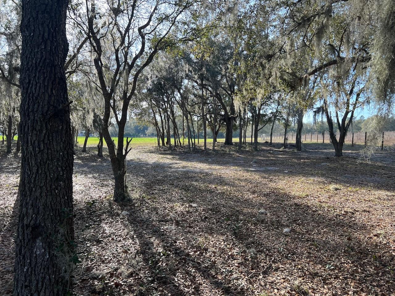 2731 SE 115TH AVE, MORRISTON, FL, 32668