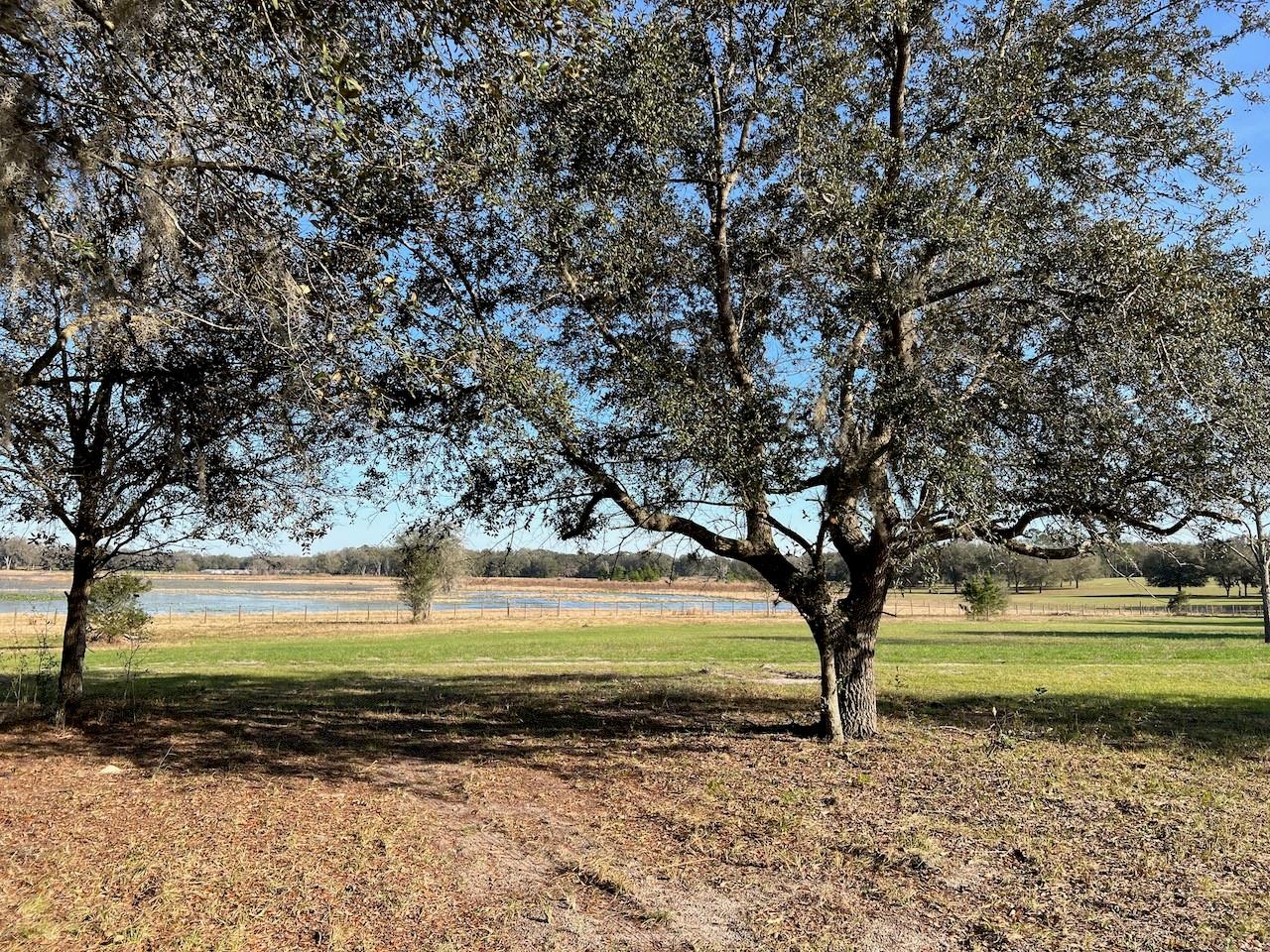 2731 SE 115TH AVE, MORRISTON, FL, 32668