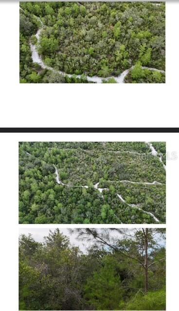 E HOLLY HOCK RD, DELAND, FL, 32724