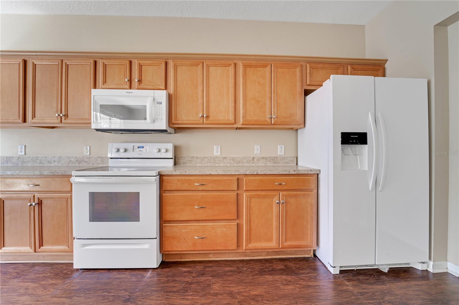 10509 MARSANNE PL, RIVERVIEW, FL, 33578