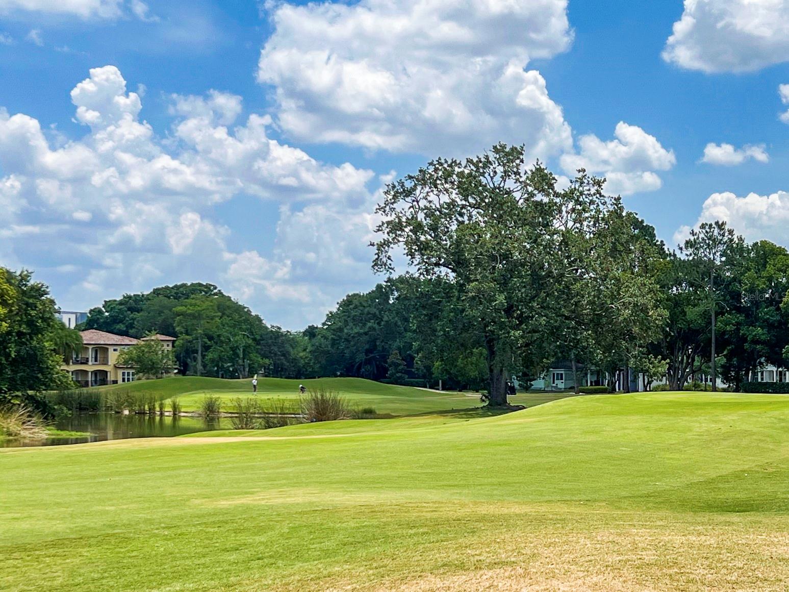 3026 FAIRWAY LN #D, ORLANDO, FL, 32804