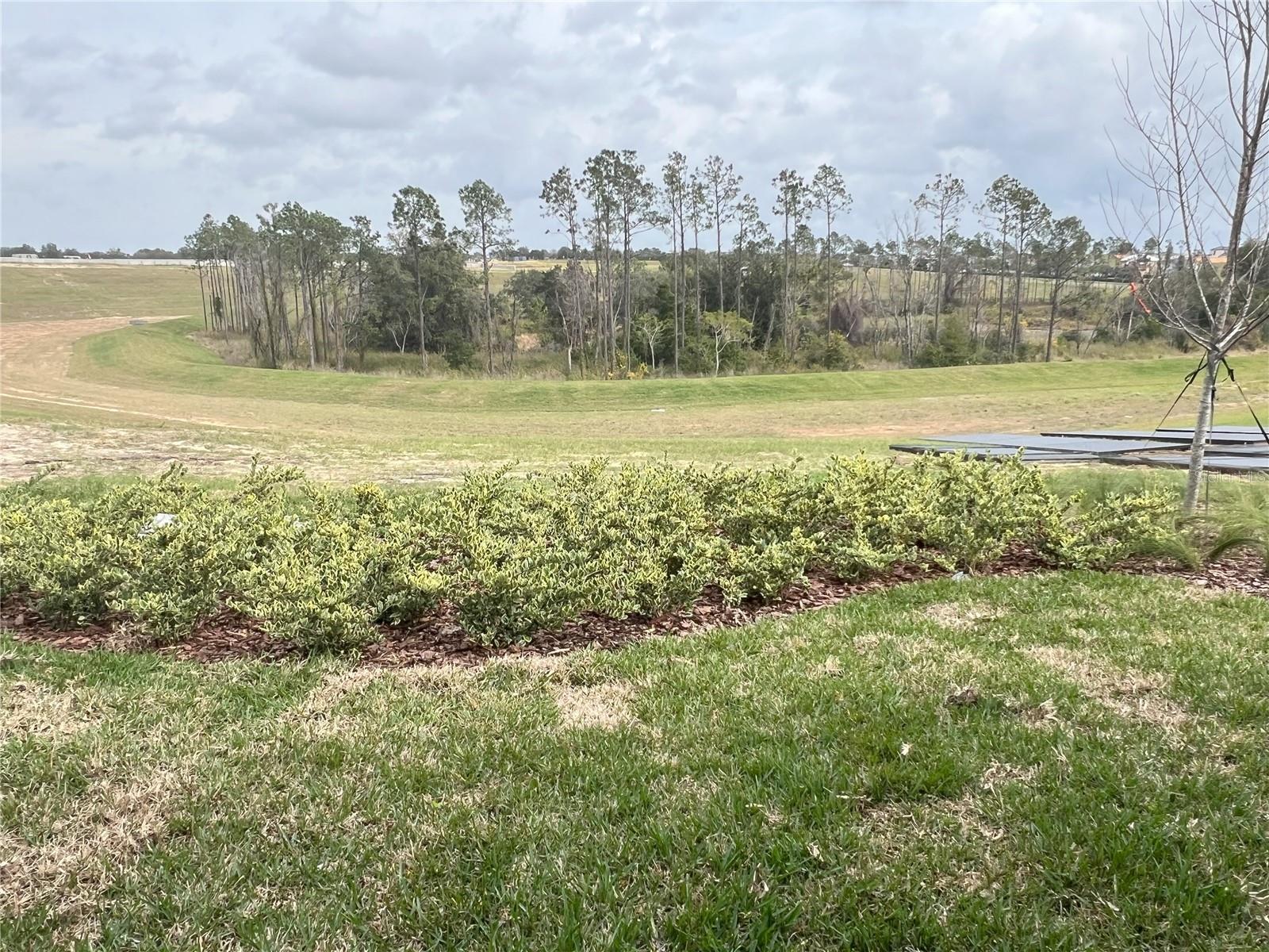 15332 WILLOW RIDGE DR, MONTVERDE, FL, 34756