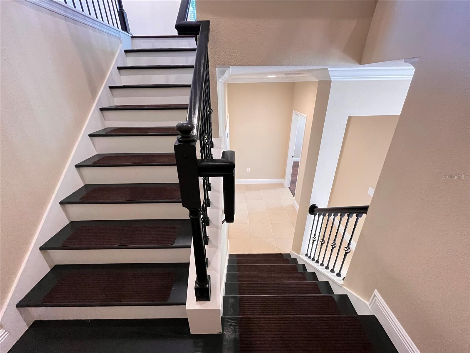 14315 CRESTAVISTA AVE, CLERMONT, FL, 34714