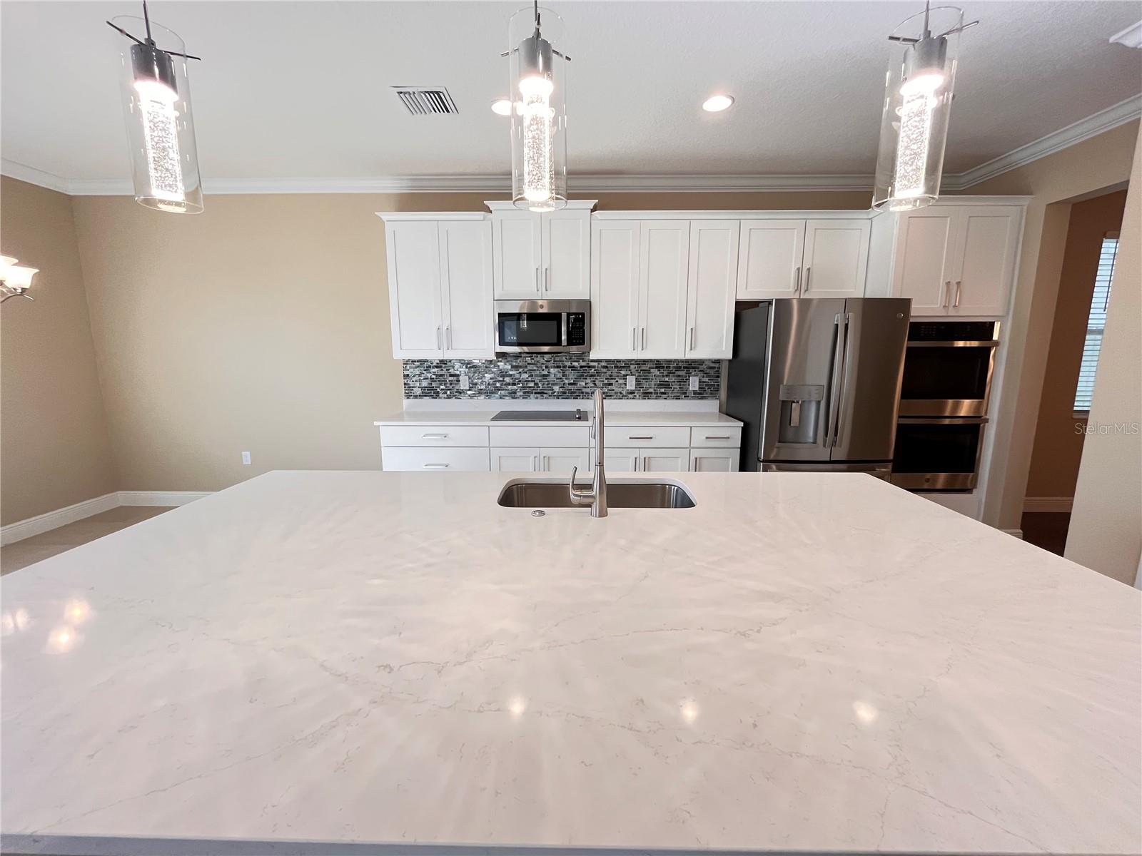 14315 CRESTAVISTA AVE, CLERMONT, FL, 34714