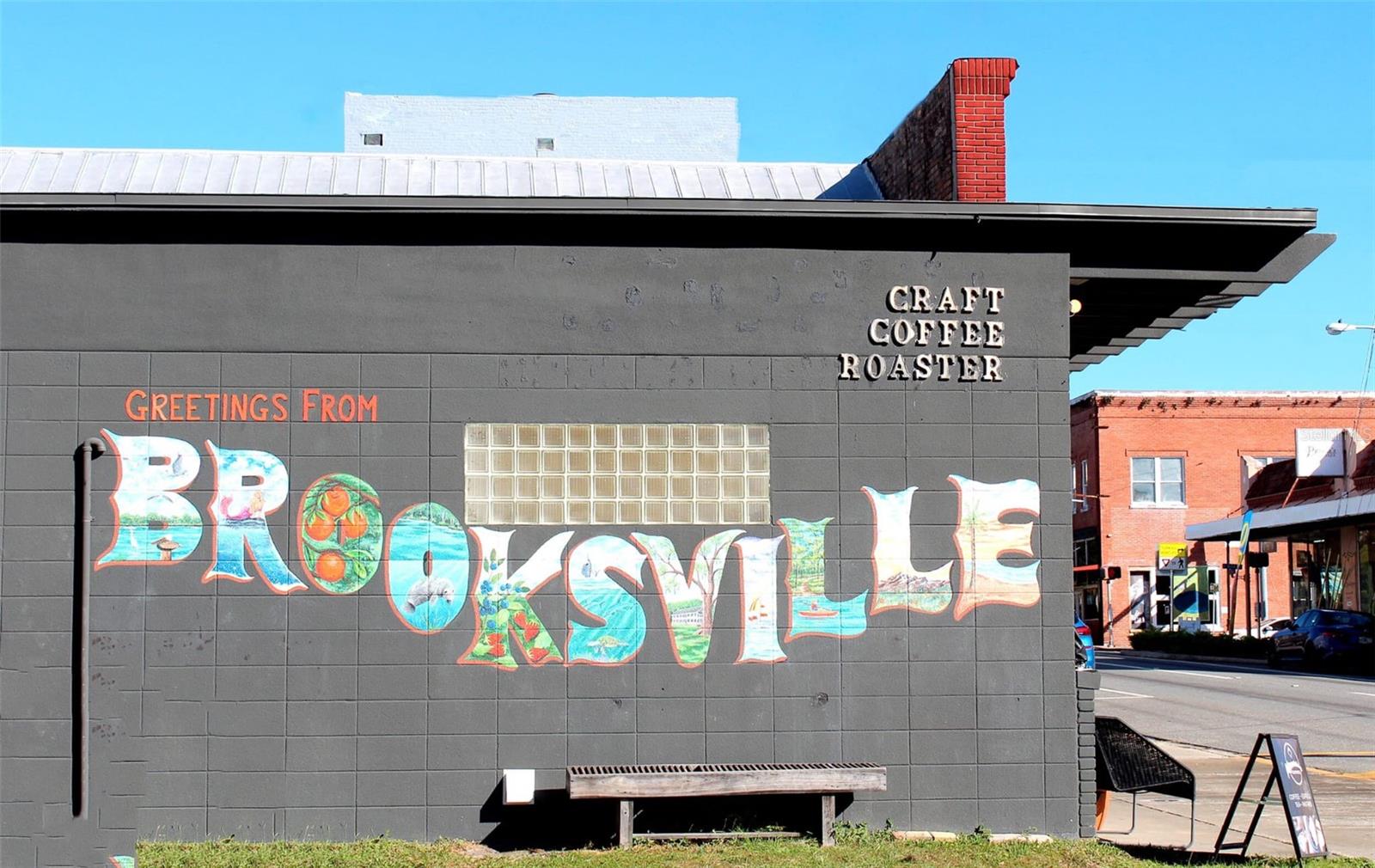 501 CRAWFORD ST, BROOKSVILLE, FL, 34601