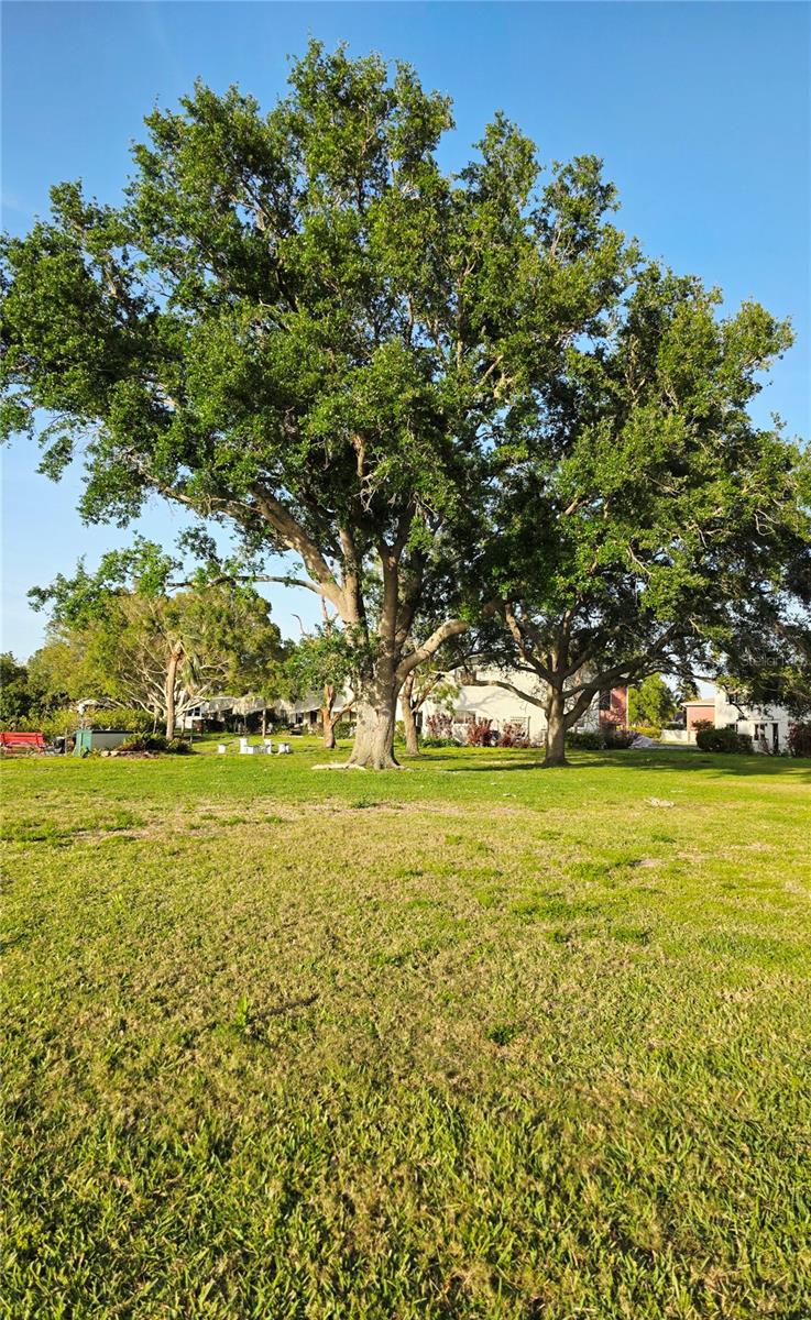 4570 OVERLOOK DR NE #282, ST PETERSBURG, FL, 33703