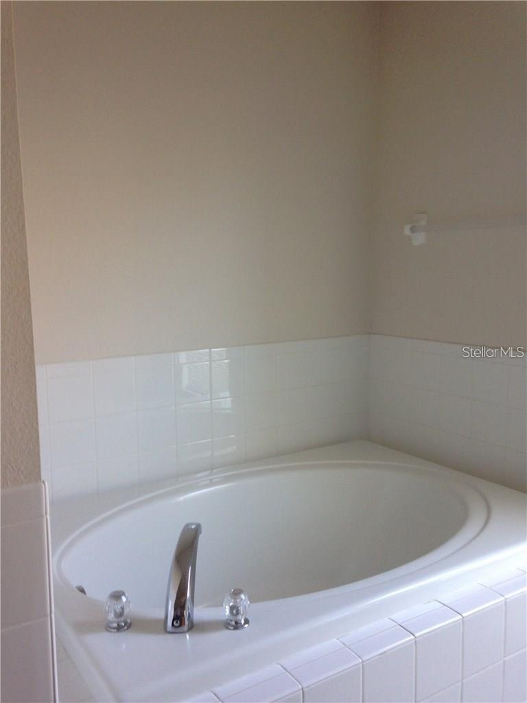 30406 ARROCHAR ST, WESLEY CHAPEL, FL, 33545