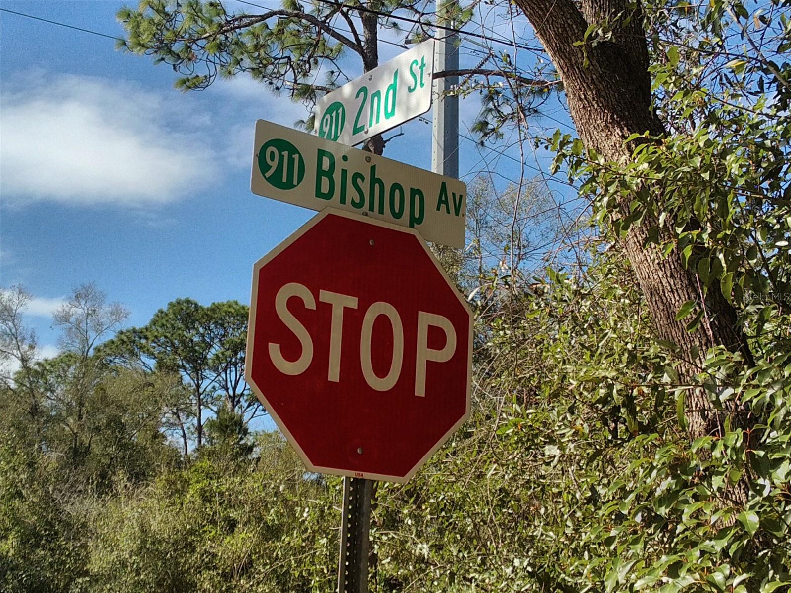 1490 2ND ST, ORANGE CITY, FL, 32763