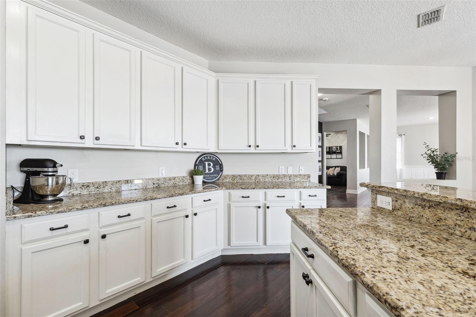 5323 SANDY SHELL DR, APOLLO BEACH, FL, 33572