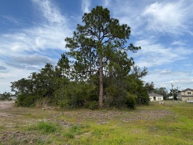 1649 REDFIN DR, POINCIANA, FL, 34759