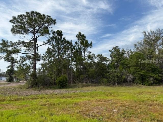 1649 REDFIN DR, POINCIANA, FL, 34759