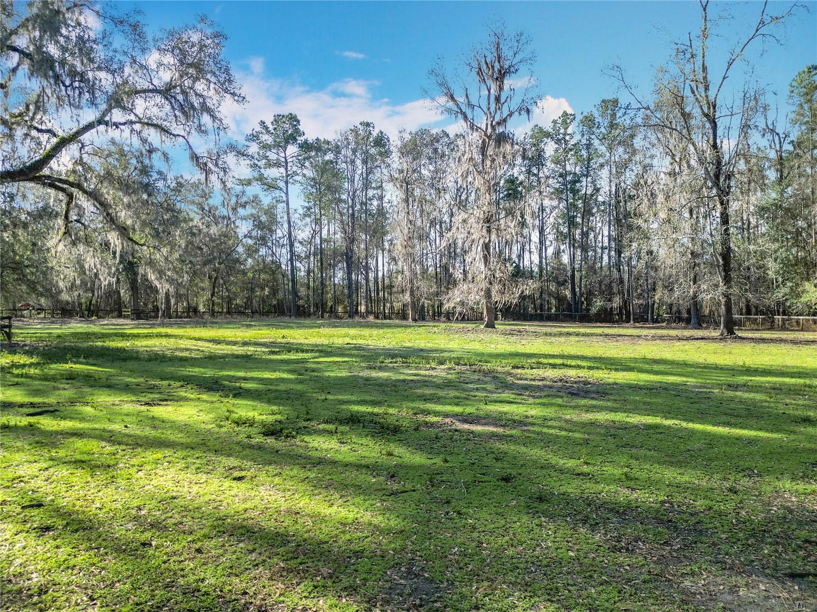 12998 NW 168TH PL, REDDICK, FL, 32686