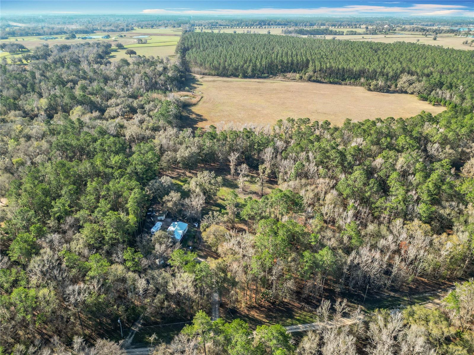 12998 NW 168TH PL, REDDICK, FL, 32686