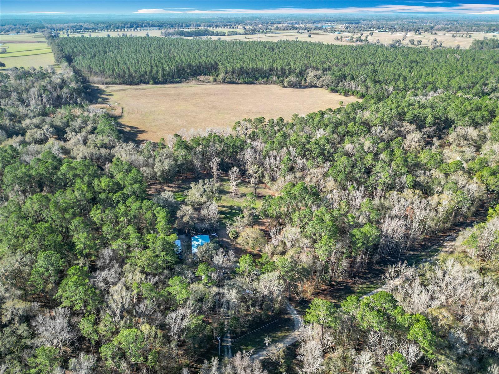 12998 NW 168TH PL, REDDICK, FL, 32686