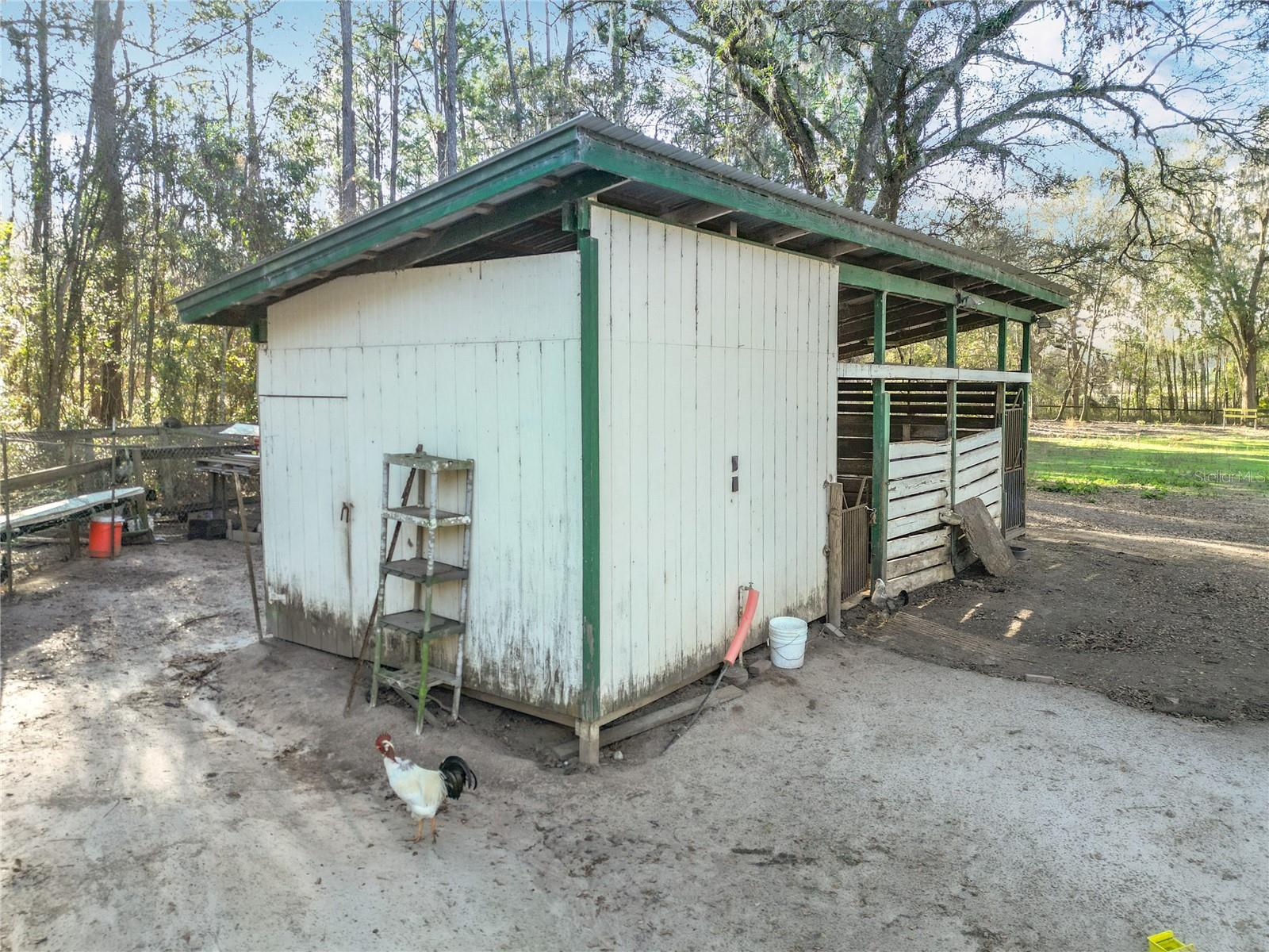 12998 NW 168TH PL, REDDICK, FL, 32686