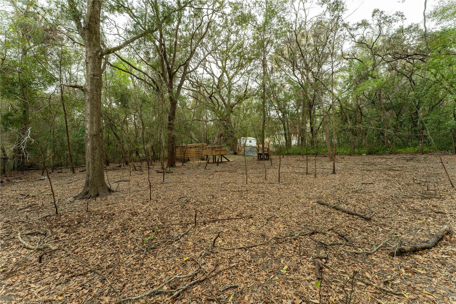 17846 CHORVAT AVE, SPRING HILL, FL, 34610