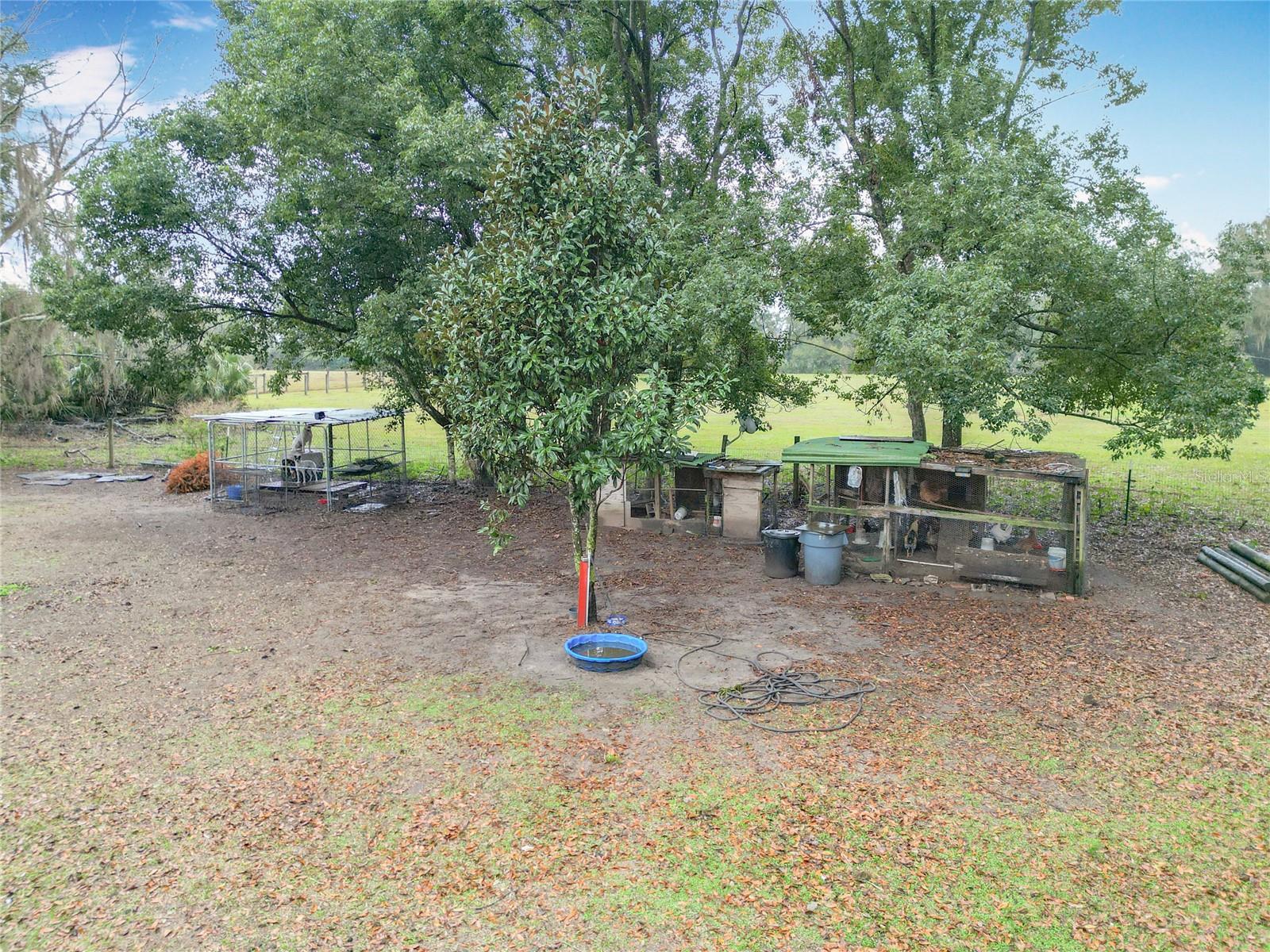12379 NE 7TH AVE, CITRA, FL, 32113