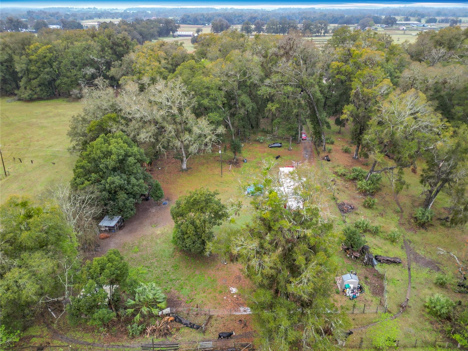 12379 NE 7TH AVE, CITRA, FL, 32113