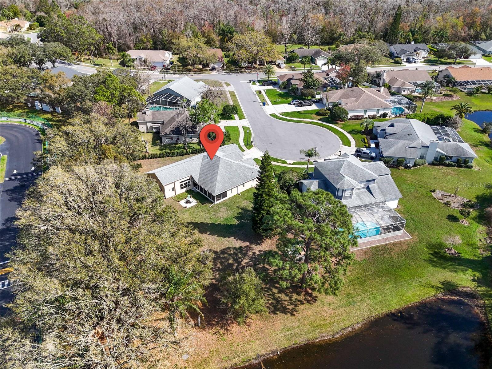 8233 DANUBIAN PL, TRINITY, FL, 34655