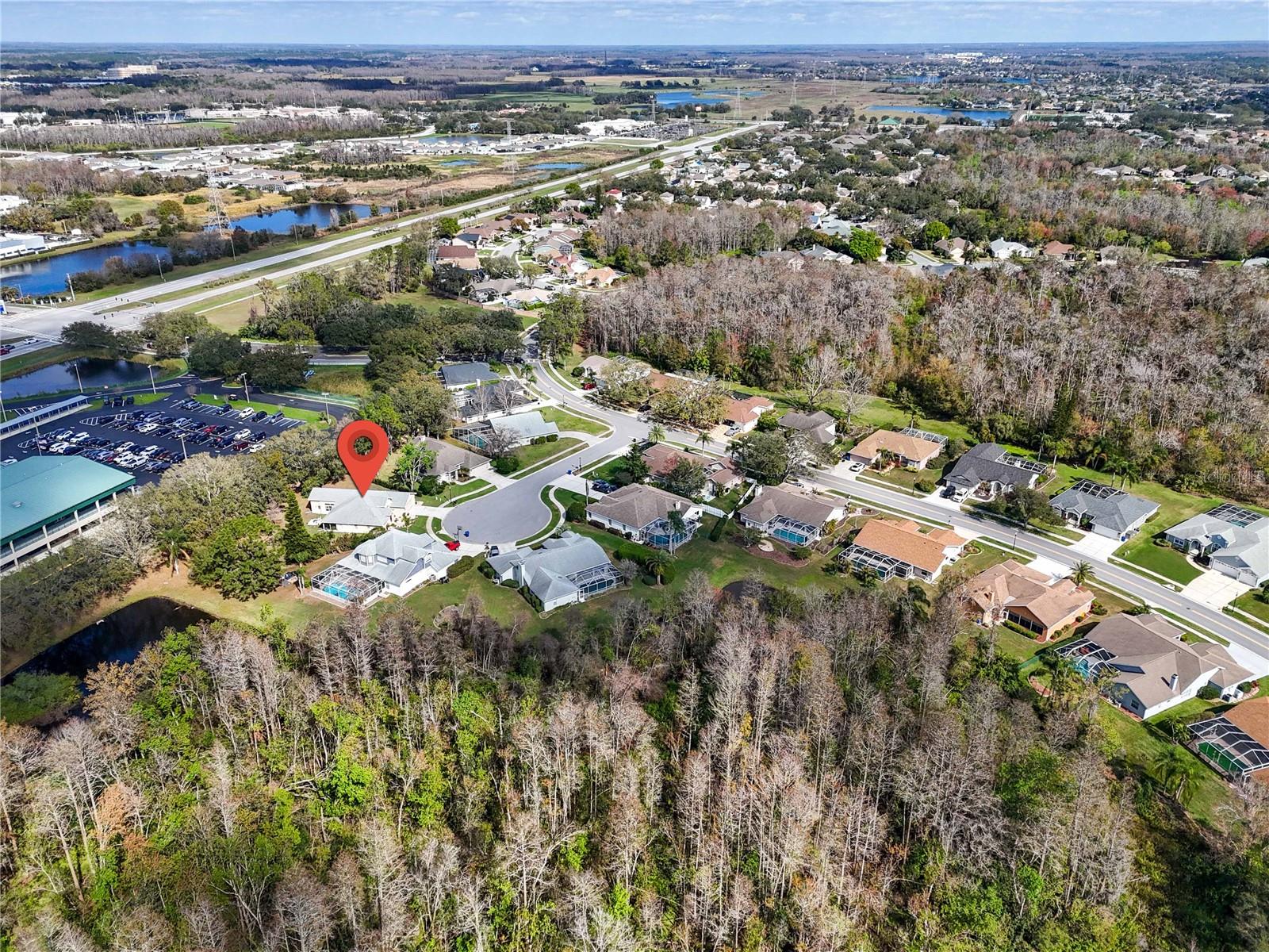 8233 DANUBIAN PL, TRINITY, FL, 34655