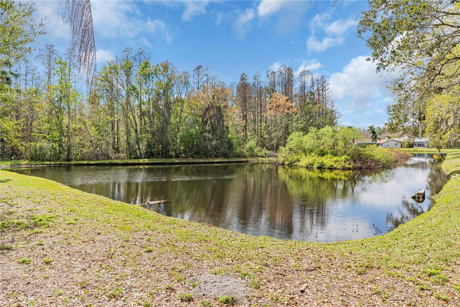 8233 DANUBIAN PL, TRINITY, FL, 34655