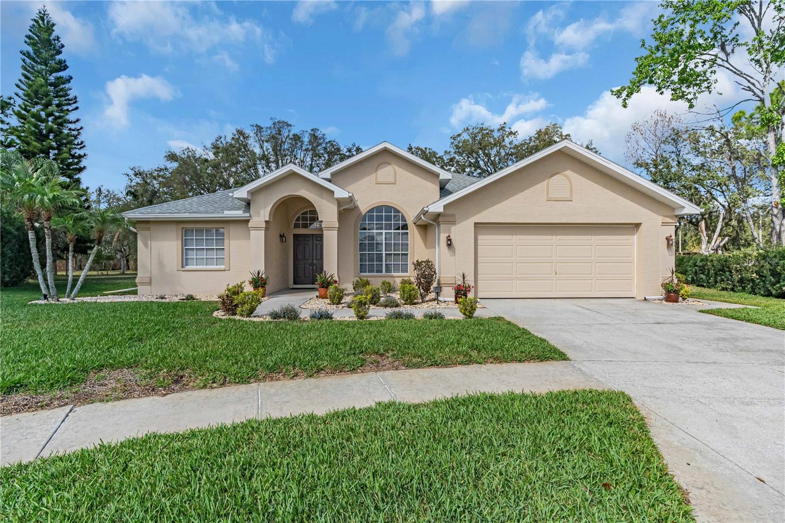 8233 DANUBIAN PL, TRINITY, FL, 34655