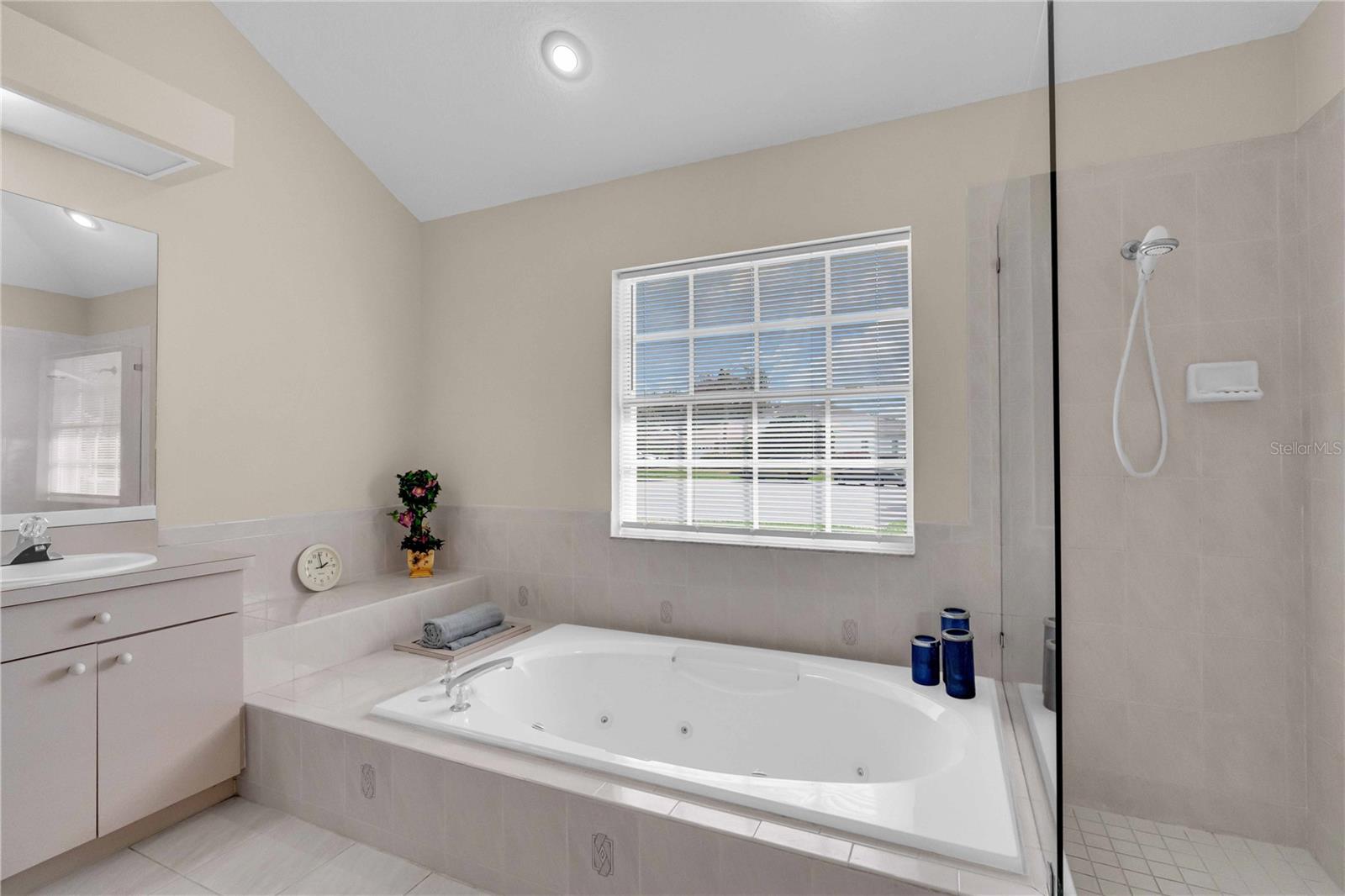 8233 DANUBIAN PL, TRINITY, FL, 34655