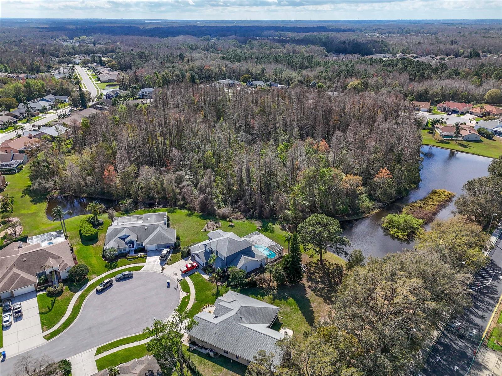 8233 DANUBIAN PL, TRINITY, FL, 34655