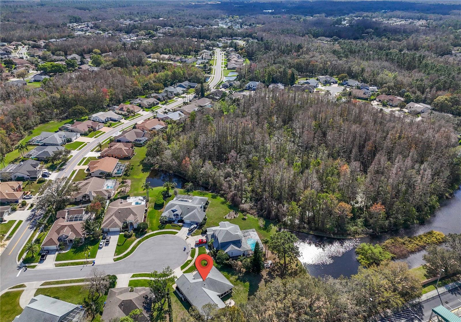 8233 DANUBIAN PL, TRINITY, FL, 34655