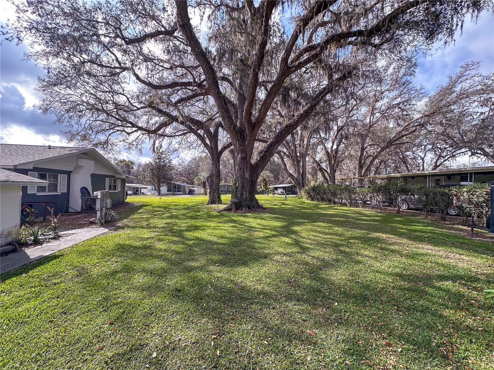 38055 AVION DR, ZEPHYRHILLS, FL, 33542