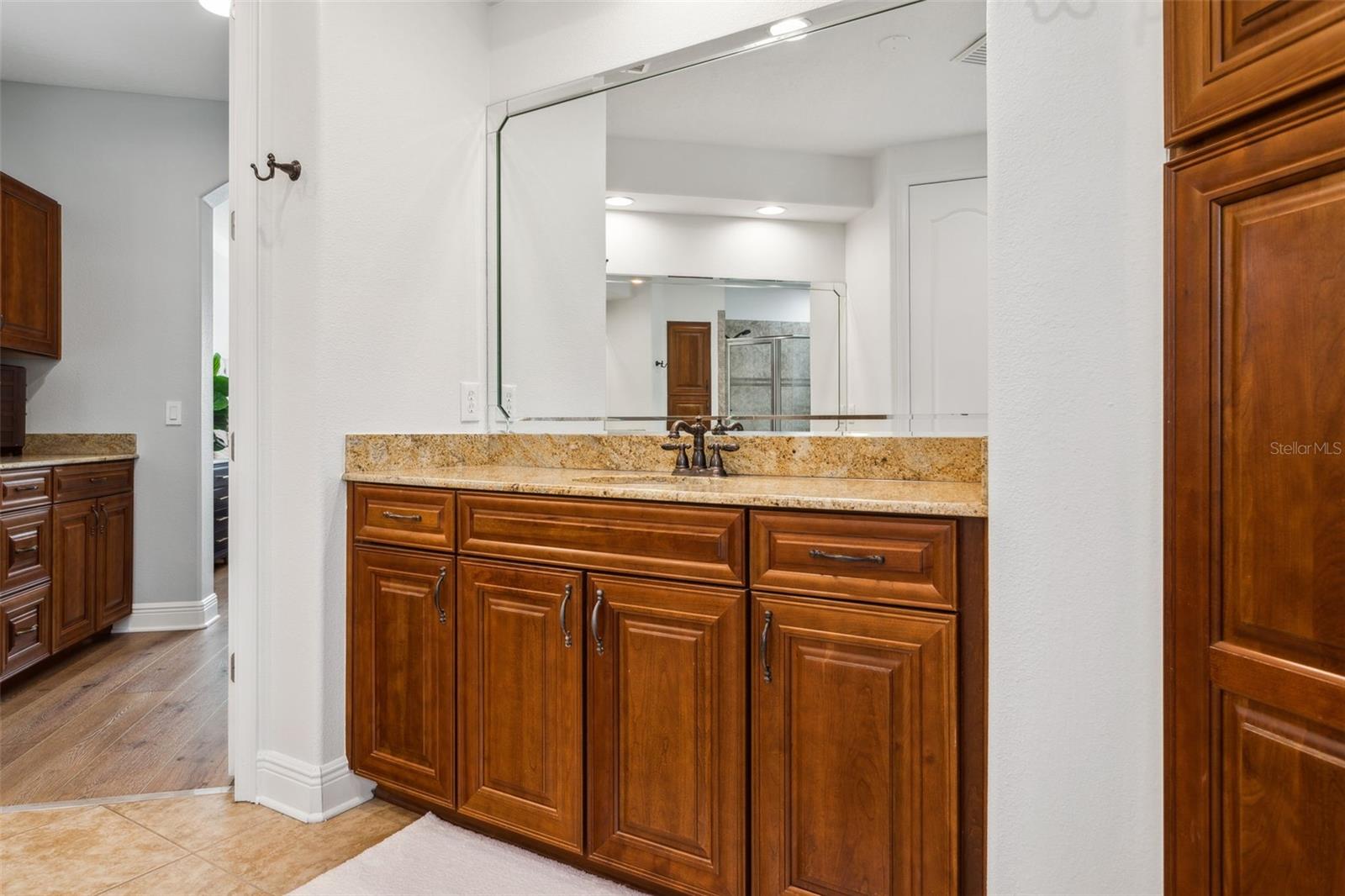 3203 PARK GREEN DR, TAMPA, FL, 33611