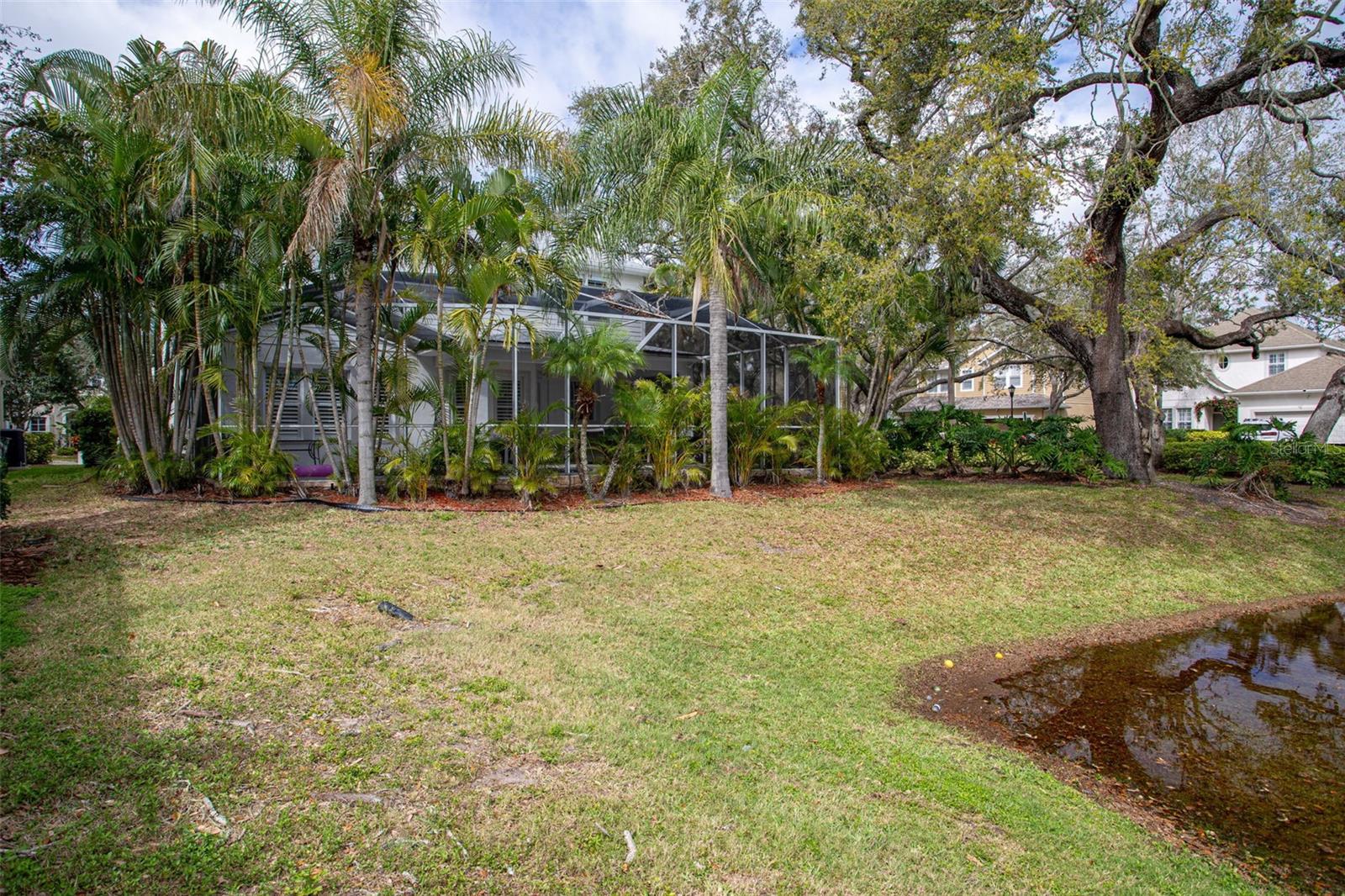 3203 PARK GREEN DR, TAMPA, FL, 33611