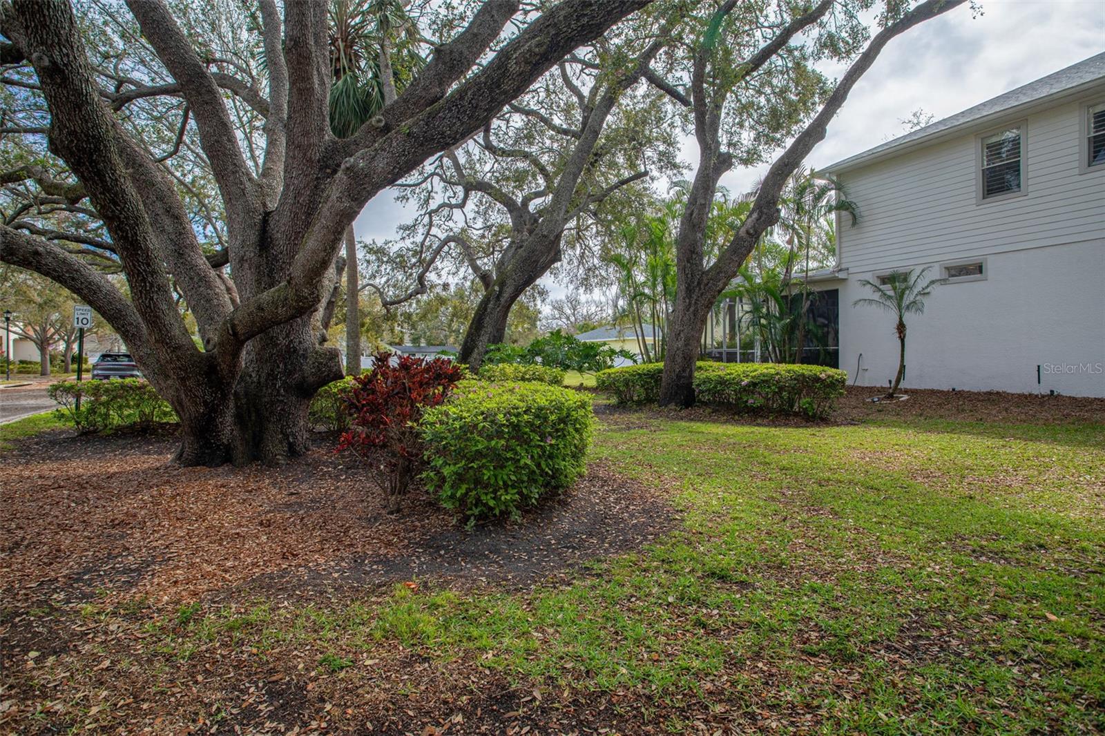3203 PARK GREEN DR, TAMPA, FL, 33611