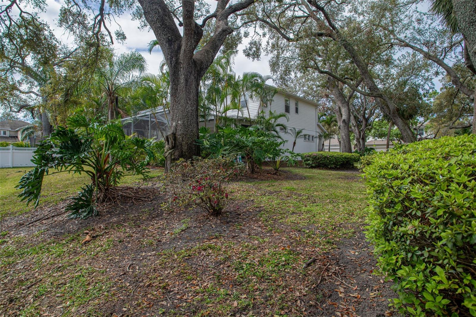 3203 PARK GREEN DR, TAMPA, FL, 33611