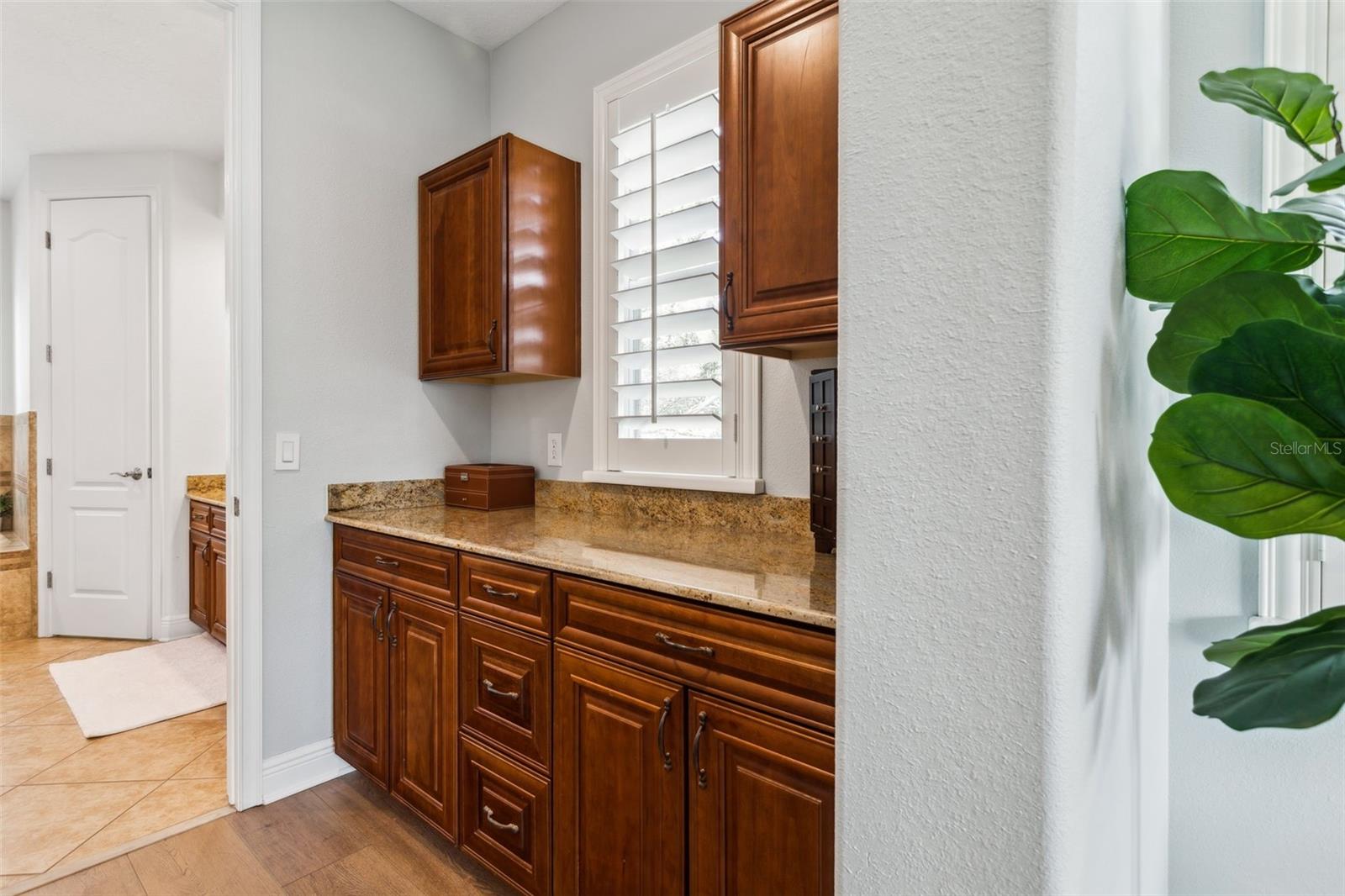 3203 PARK GREEN DR, TAMPA, FL, 33611