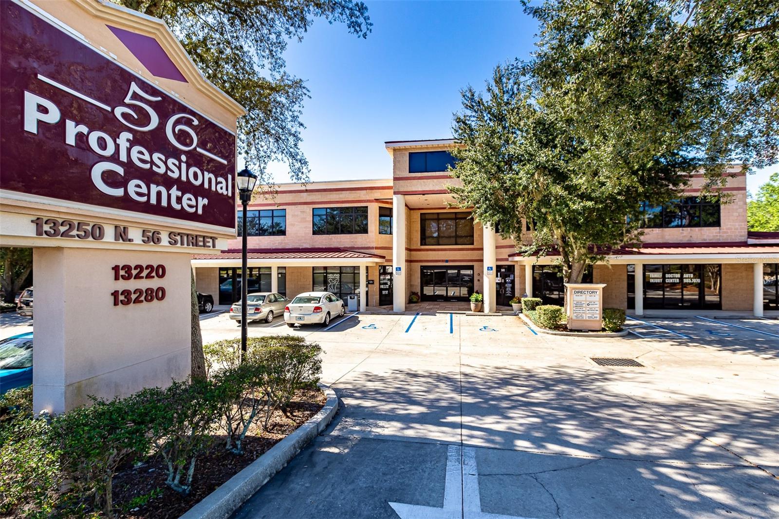 13250 N 56TH ST #203, TEMPLE TERRACE, FL, 33617