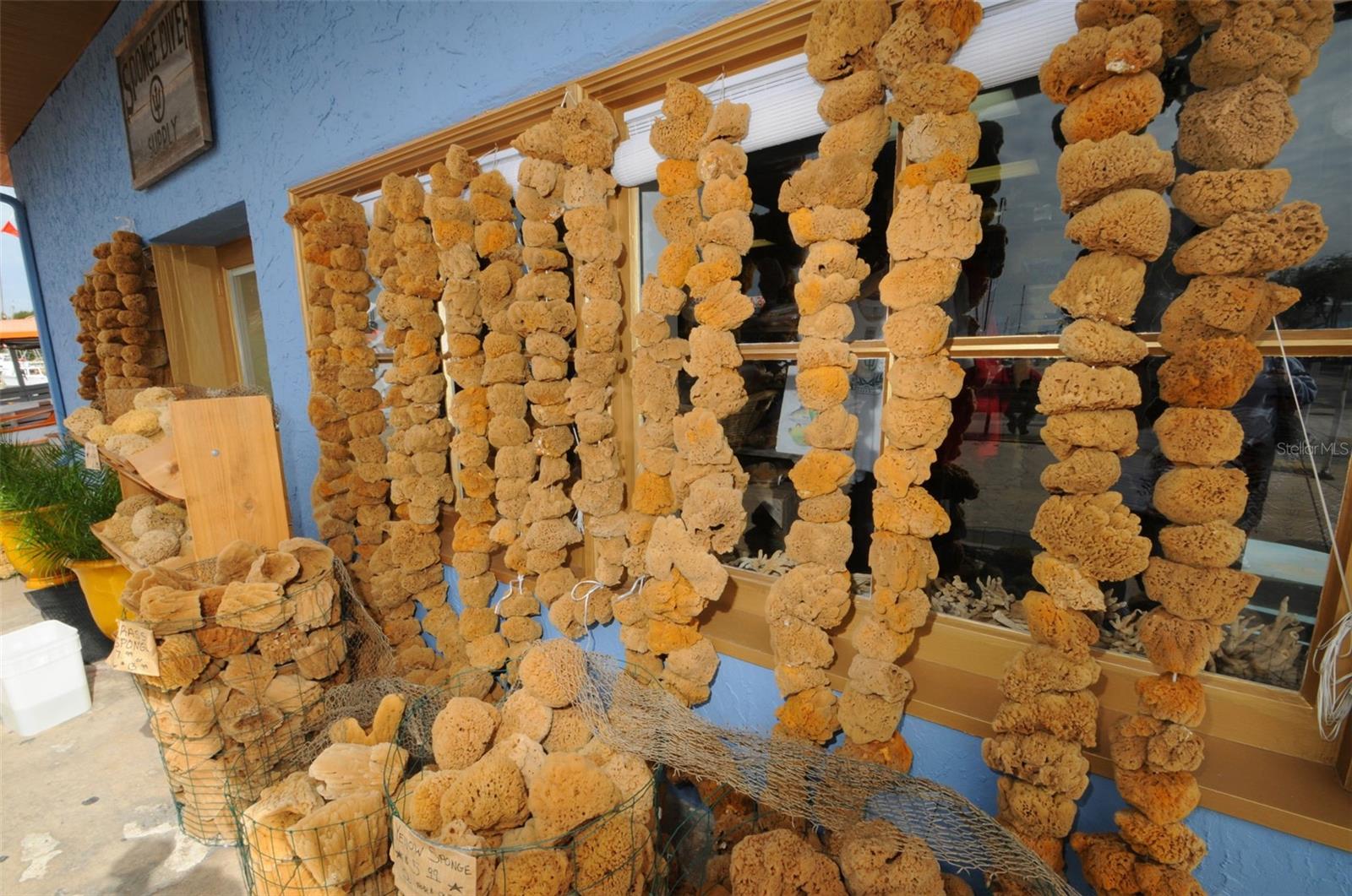 26 W ORANGE ST, TARPON SPRINGS, FL, 34689