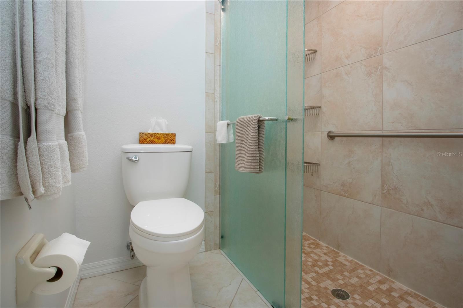 2313 BROOKFIELD GREENS CIR #35, SUN CITY CENTER, FL, 33573