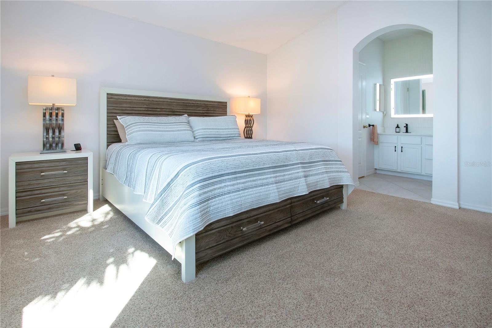 2313 BROOKFIELD GREENS CIR #35, SUN CITY CENTER, FL, 33573
