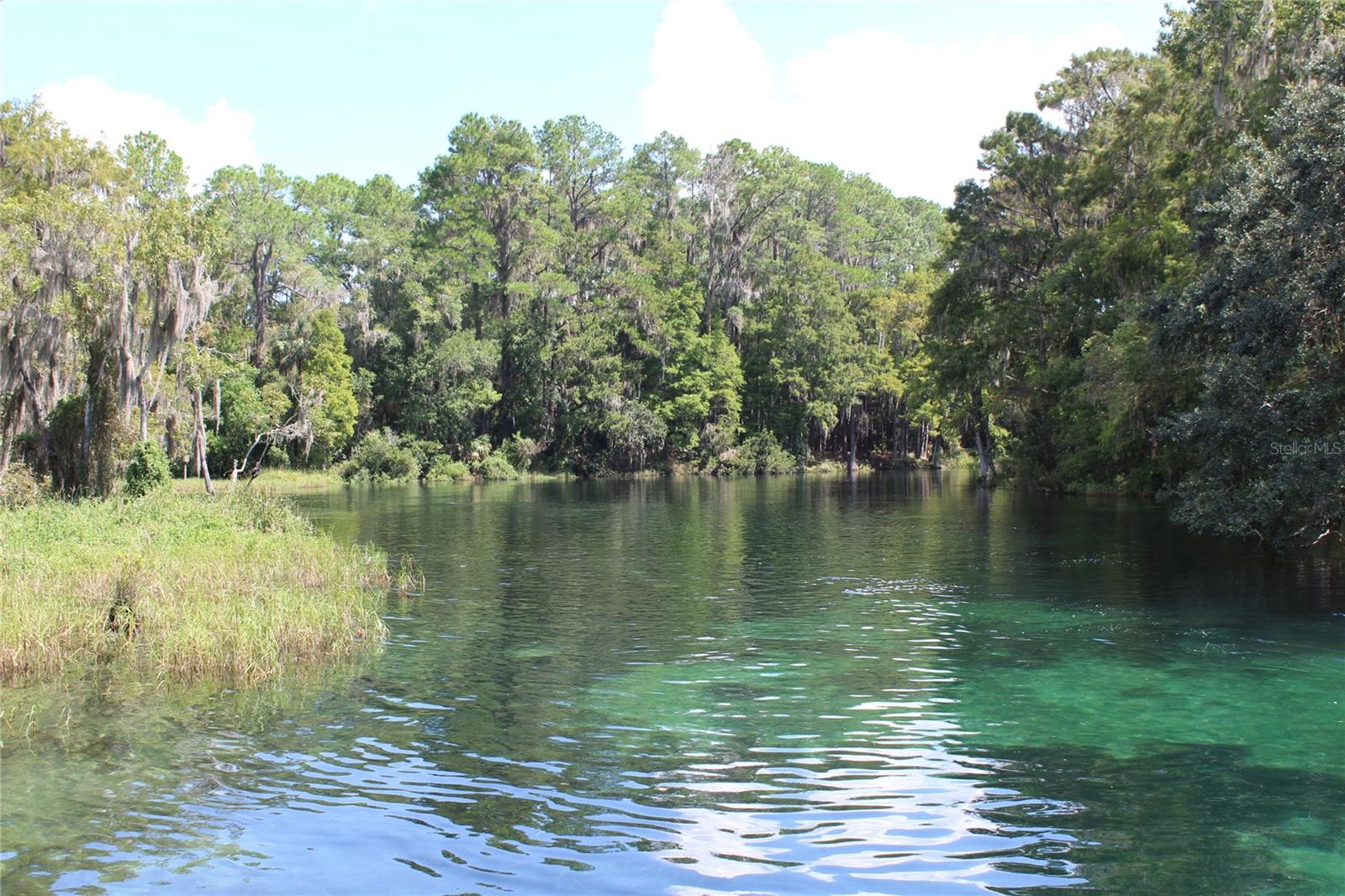 SW 189TH TERRACE TER, DUNNELLON, FL, 34432