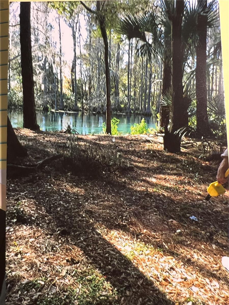 SW 189TH TERRACE TER, DUNNELLON, FL, 34432