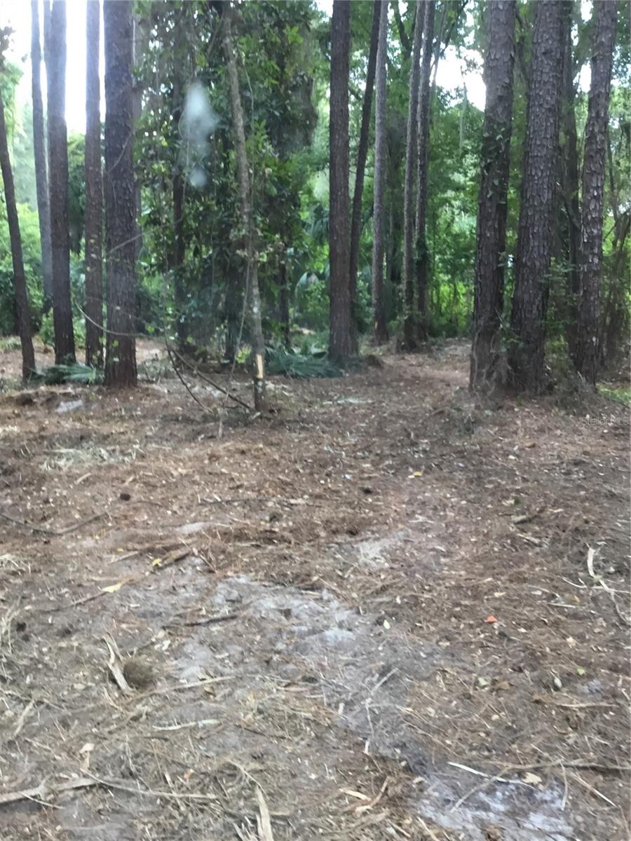 SW 189TH TERRACE TER, DUNNELLON, FL, 34432