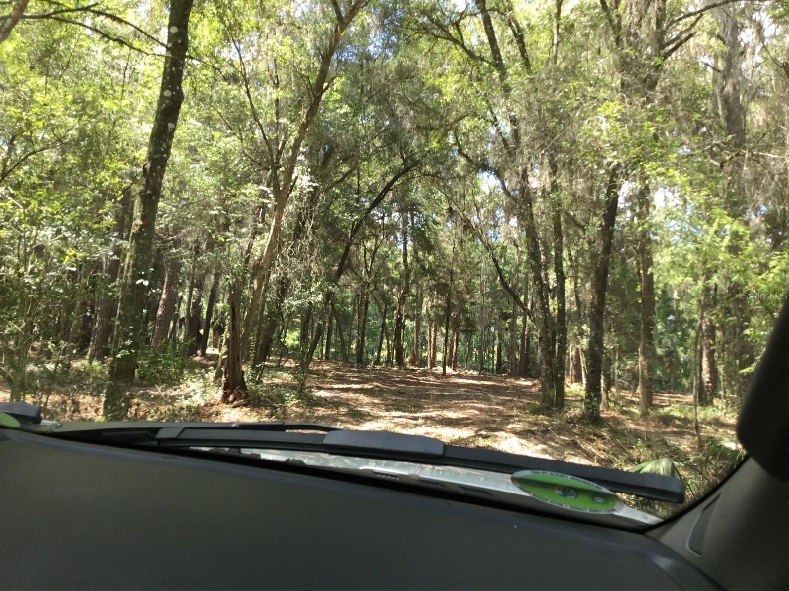 SW 189TH TERRACE TER, DUNNELLON, FL, 34432
