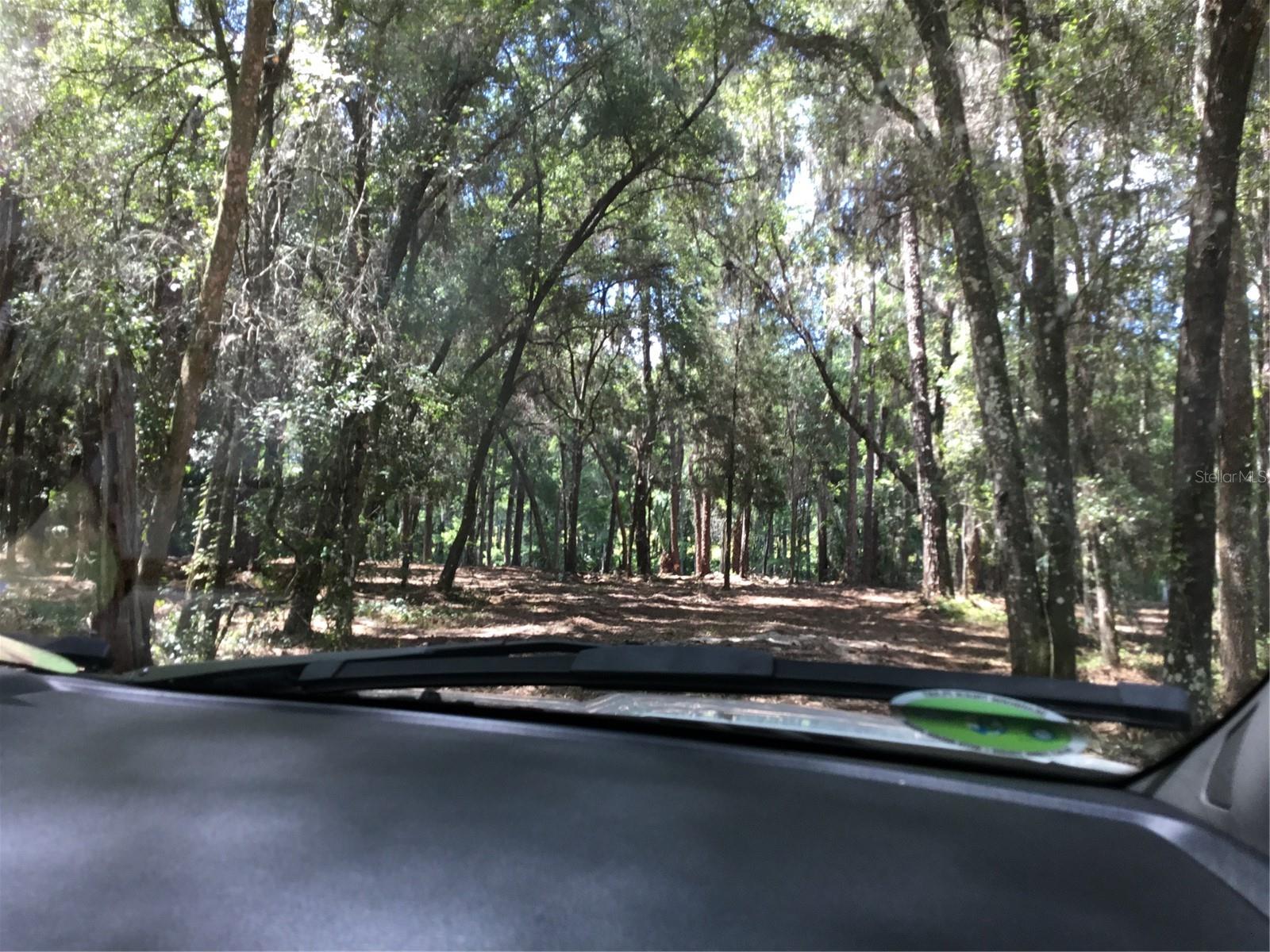 SW 189TH TERRACE TER, DUNNELLON, FL, 34432