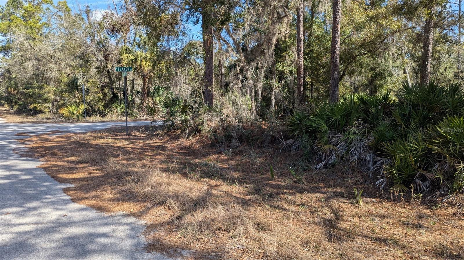 12228 W FLAXEN DR, CRYSTAL RIVER, FL, 34428