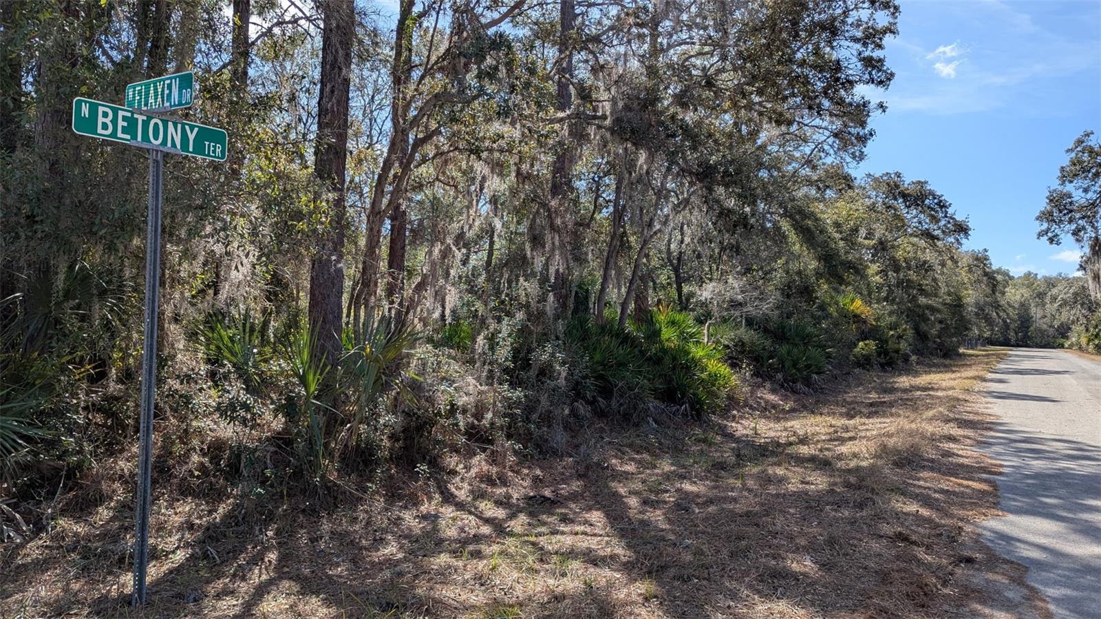 12228 W FLAXEN DR, CRYSTAL RIVER, FL, 34428