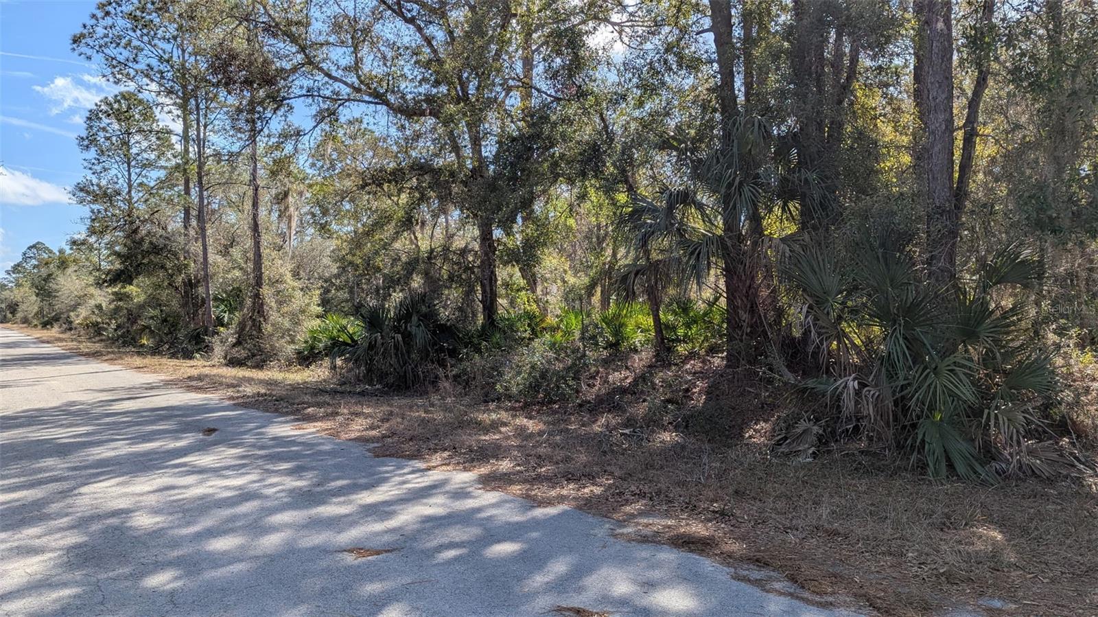 12228 W FLAXEN DR, CRYSTAL RIVER, FL, 34428