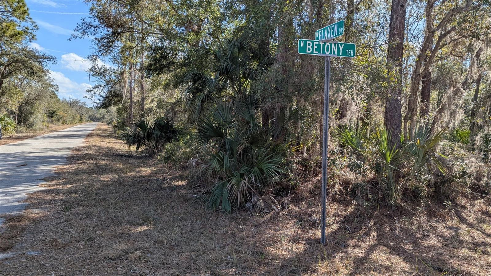 12228 W FLAXEN DR, CRYSTAL RIVER, FL, 34428