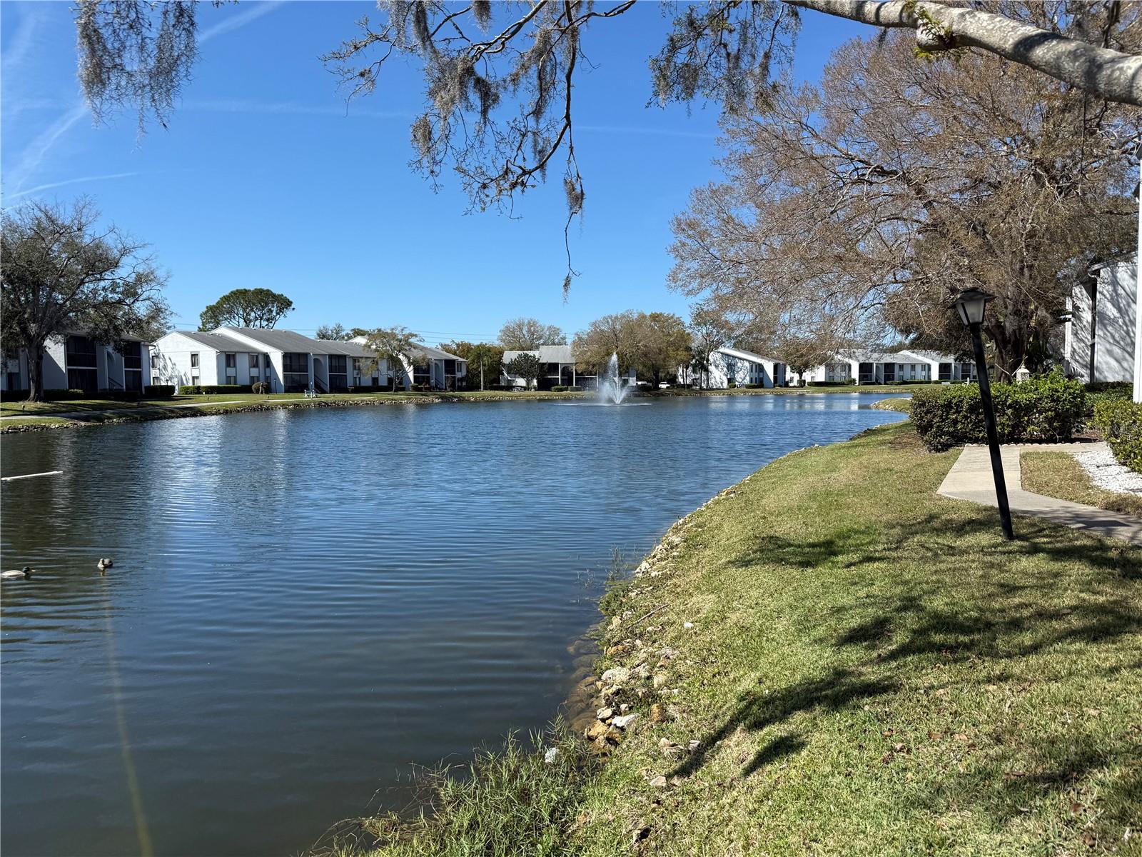 1179 PINE RIDGE CIR W #A1, TARPON SPRINGS, FL, 34688