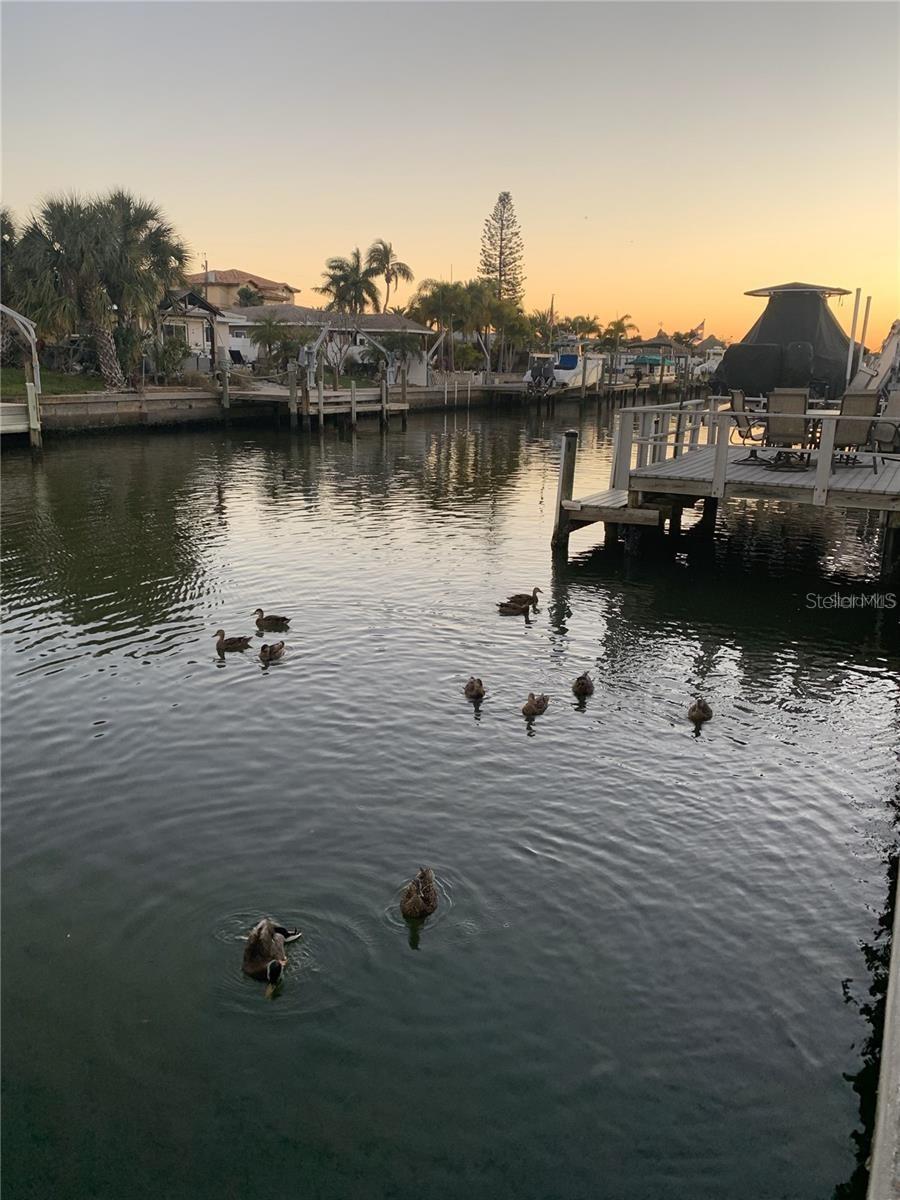 8780 43RD AVE N #131, ST PETERSBURG, FL, 33709